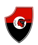 guaranifc